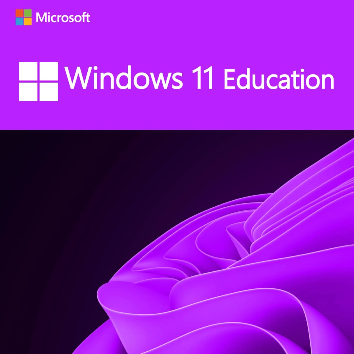 Microsoft Windows 11 Education - Lifetime License 