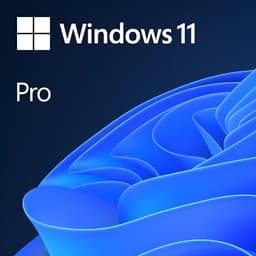 Microsoft Windows 11 Pro Lifetime License Key for 1 PC