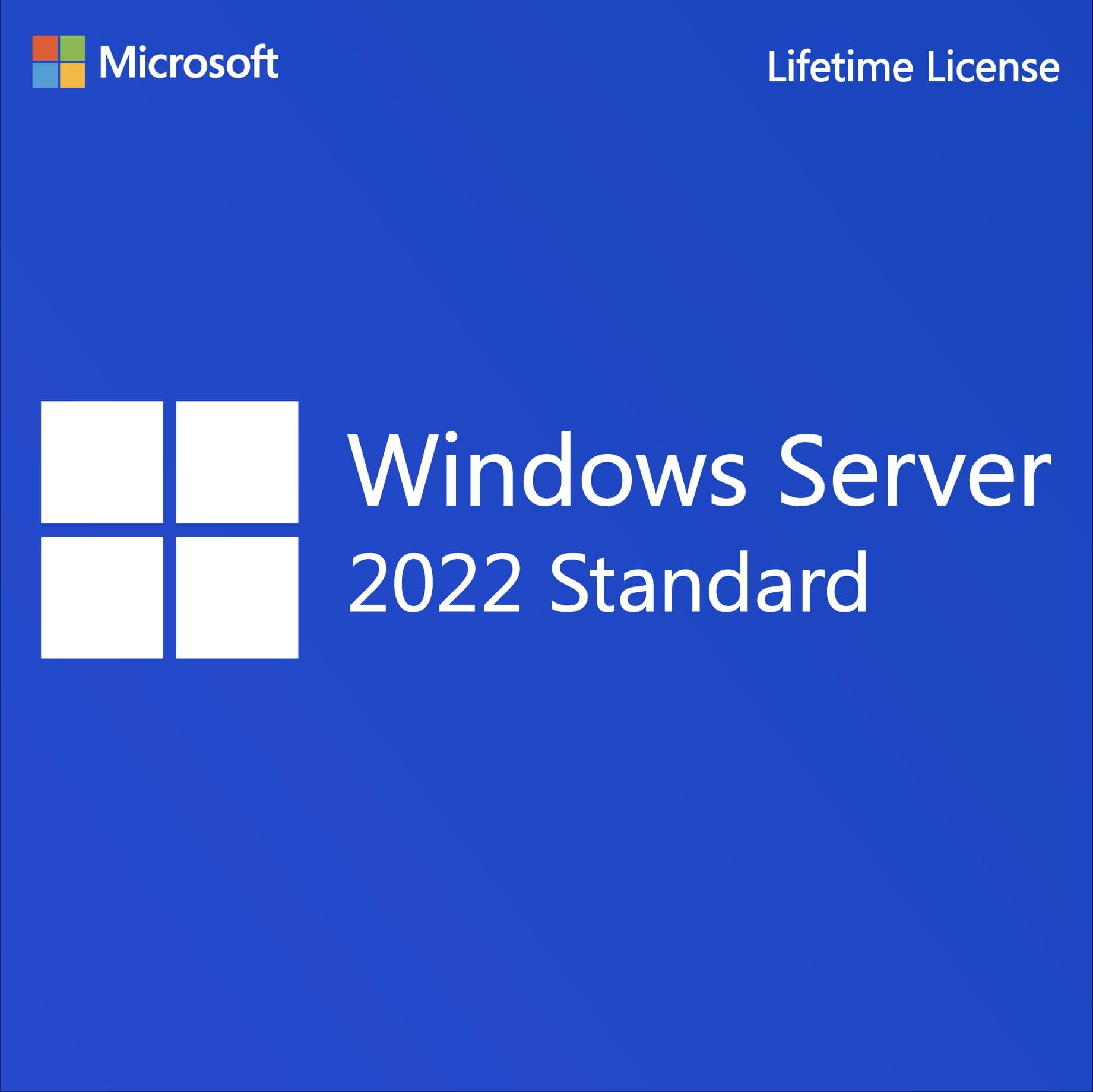 Windows Server 2022 Standard - Lifetime Genuine License