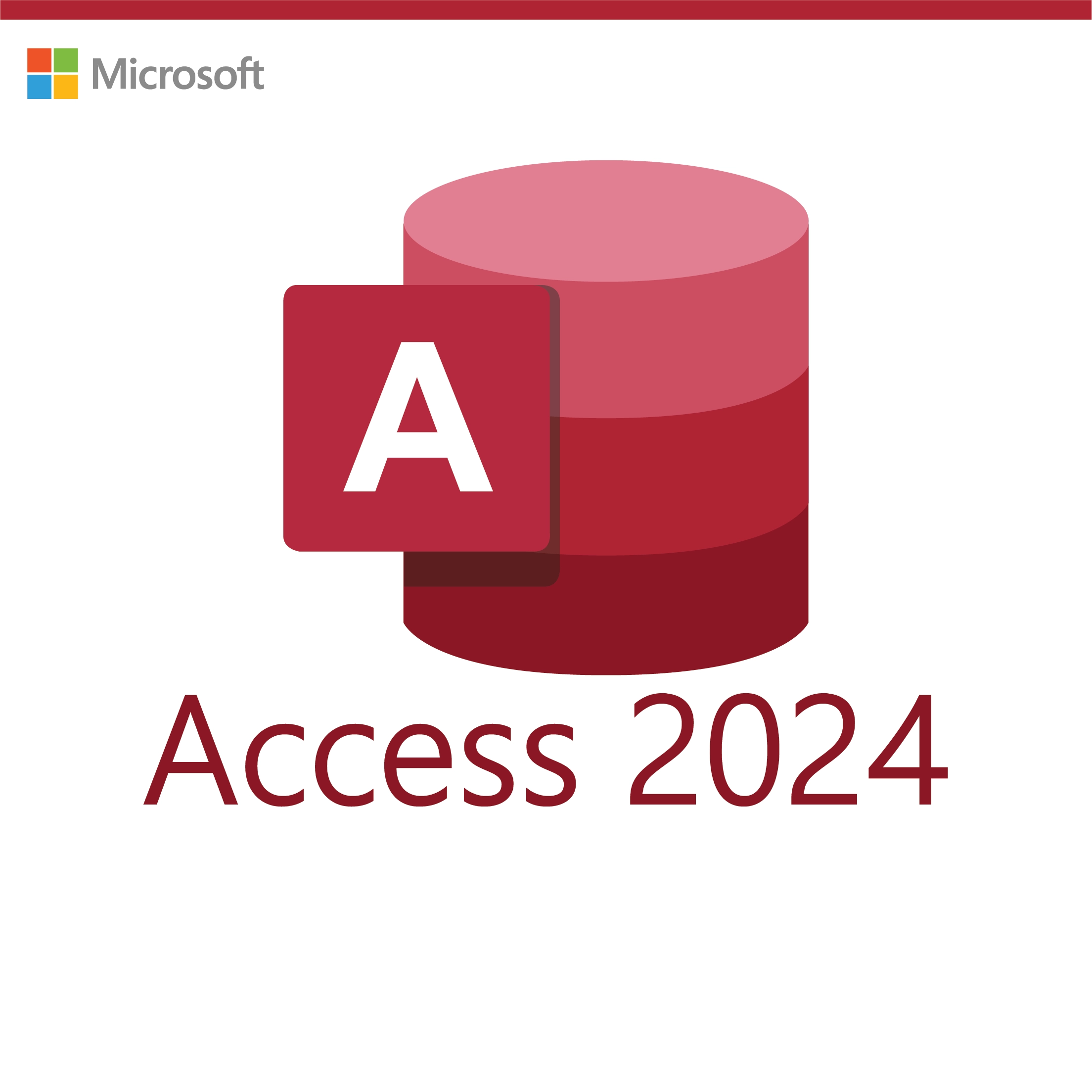 Microsoft Access 2024 – Lifetime License