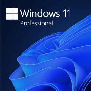Windows 11 Professional