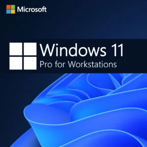 Windows 11 Pro for workstations