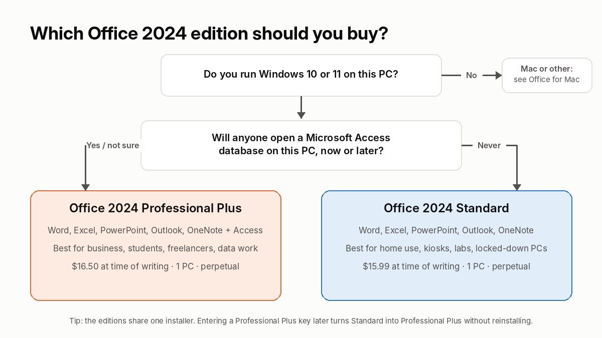 Decision flowchart for choosing between Office 2024 Professional Plus and Office 2024 Standard based on whether you will use Microsoft Access