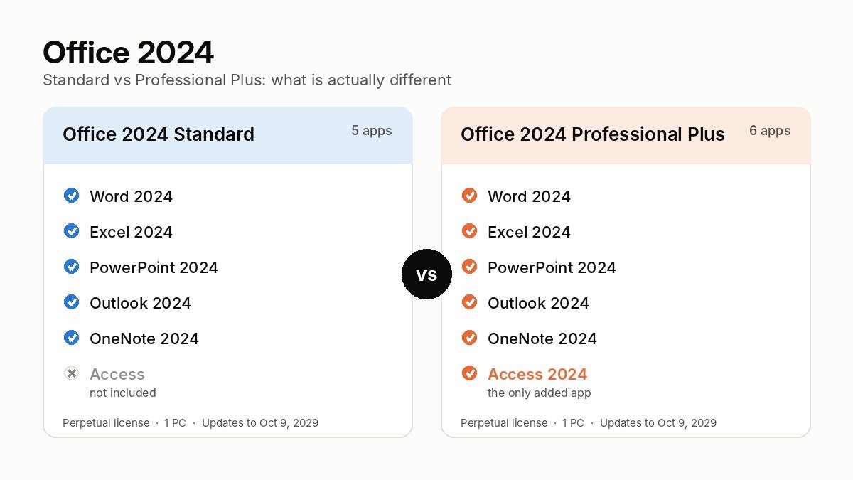 Office 2024 Standard vs Professional Plus comparison: both include Word, Excel, PowerPoint, Outlook and OneNote; Professional Plus adds Access